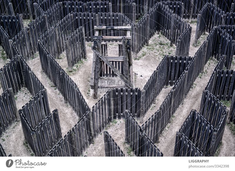 Labyrinth verwirrt wirklich! Freude Holz Diät außergewöhnlich braun Idee Ausflug Lebewesen Irritation fun Spannung Aktion Geld Eintrittskarte See Österreich