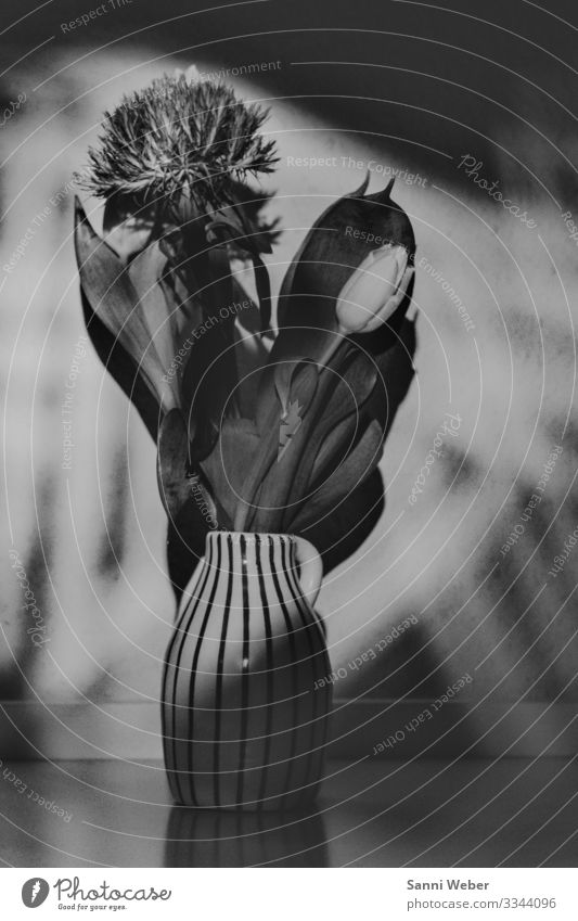 Object_2 Linie Kreativität Schwarzweißfoto Vase Streifen Blume Reflexion & Spiegelung Innenaufnahme Experiment Menschenleer Kunstlicht Licht Schatten Kontrast