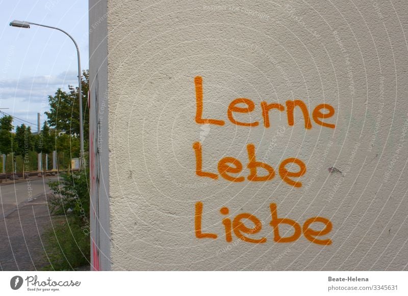 Geschriebenes | Losungswörter mit "L" Lifestyle Kindererziehung Saarbrücken Mauer Wand Schriftzeichen wählen gebrauchen Denken entdecken Kommunizieren lernen