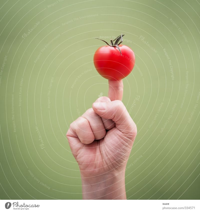 Fleischtomate Lebensmittel Gemüse Frucht Frühstück Bioprodukte Vegetarische Ernährung Fingerfood Arme Hand Zeichen Kommunizieren Coolness einfach trendy lecker