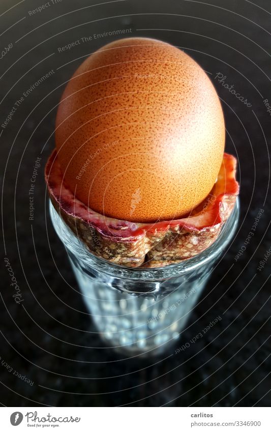 Wolpertinger Ei Frucht Zitrusfrüchte Kombination Frühstück Surrealismus Phantasie Eierlegende Wollmilchsau Orangen-Maracuja