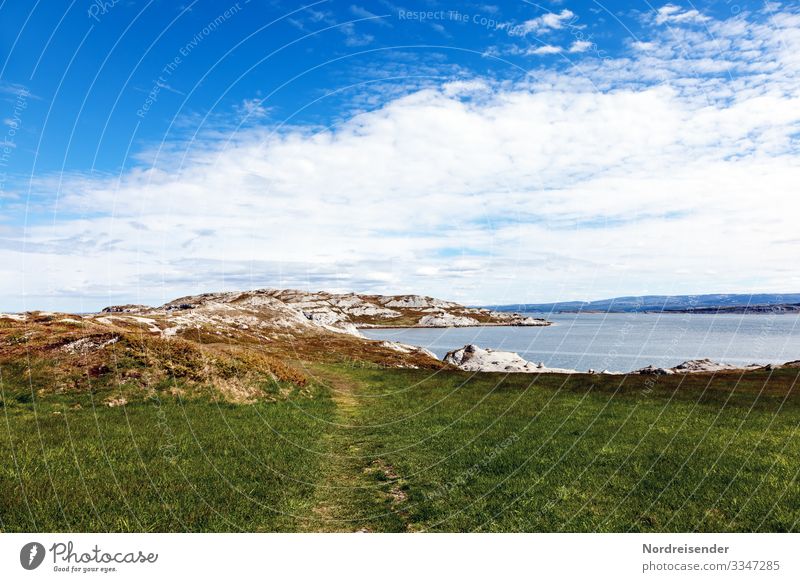 Am Porsangerfjord Ferien & Urlaub & Reisen Tourismus Abenteuer Ferne Freiheit Meer wandern Natur Landschaft Urelemente Wasser Himmel Wolken Sommer