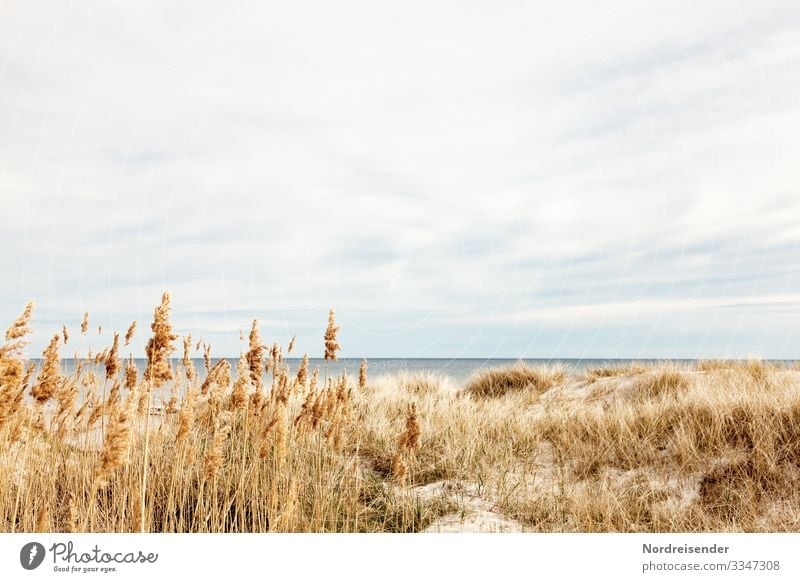 Ostsee auf Öland Natur Landschaft Wasser Himmel Wolken Frühling Sommer Schönes Wetter Gras Strand Nordsee Meer Insel Ferien & Urlaub & Reisen Freundlichkeit