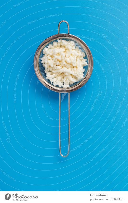 Kefirkörner in einem Sieb auf blauem Hintergrund Frühstück frisch weiß Tradition Fermentation fermentiert Kephir Mikroflora Molkerei Gesundheit gebastelt