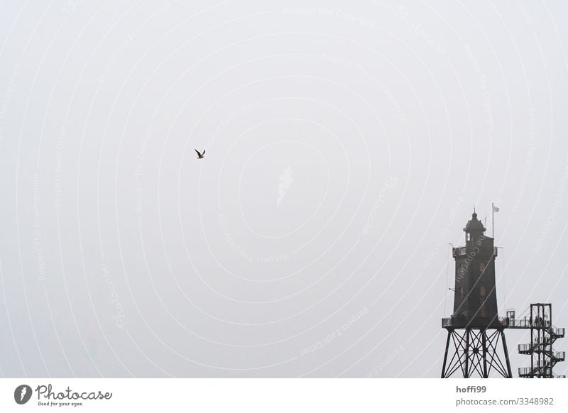 Möwe im Anflug Herbst Winter schlechtes Wetter Nebel Küste Nordsee Bauwerk Leuchtturm Treppe Fassade Dach kalt nass trist grau Sehnsucht Fernweh Einsamkeit