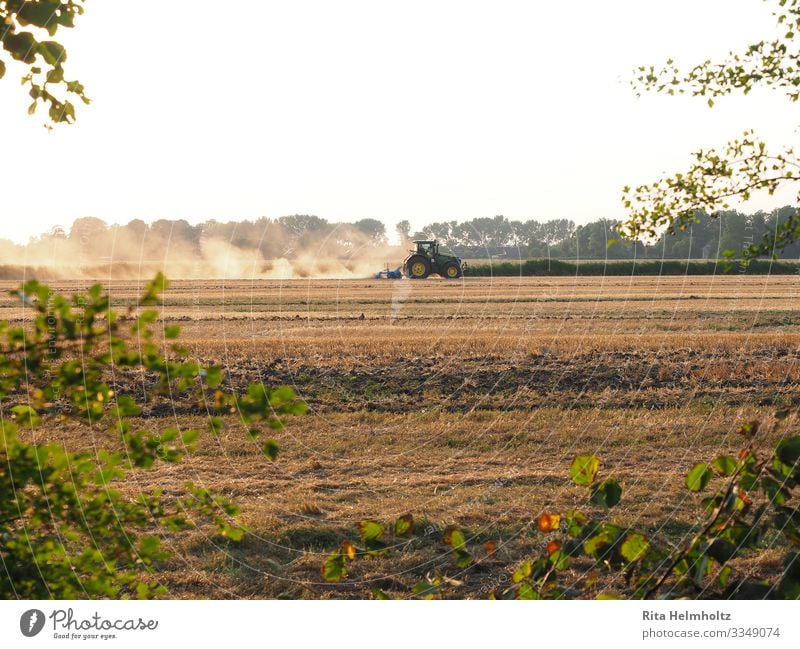 Landwirte bei der Arbeit Landwirtschaft Forstwirtschaft Maschine Trecker Landschaft Erde Wolkenloser Himmel Sommer Dürre Feld Marsch Traktor
