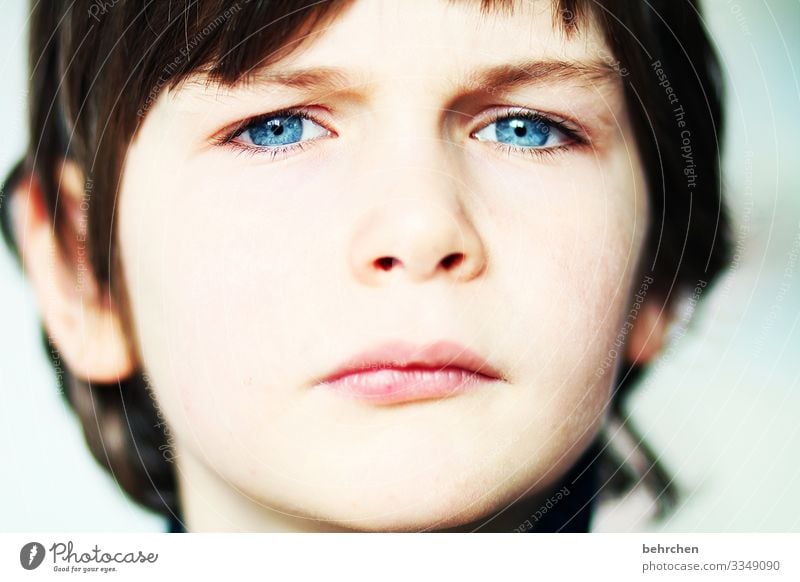 close up Kind Junge Familie & Verwandtschaft Kindheit Haut Kopf Haare & Frisuren Gesicht Auge Ohr Nase Mund Lippen 3-8 Jahre schön blau selbstbewußt
