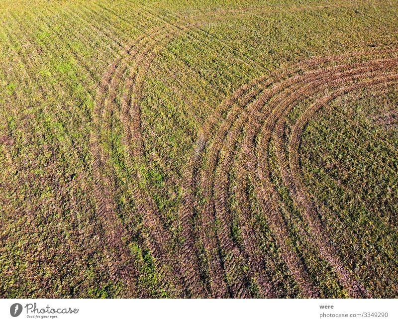 Pattern from tractor tracks on a green field Natur Frühling Feld Präzision Area flight Hintergrundbild above aerial view bird's eye view copter copy space