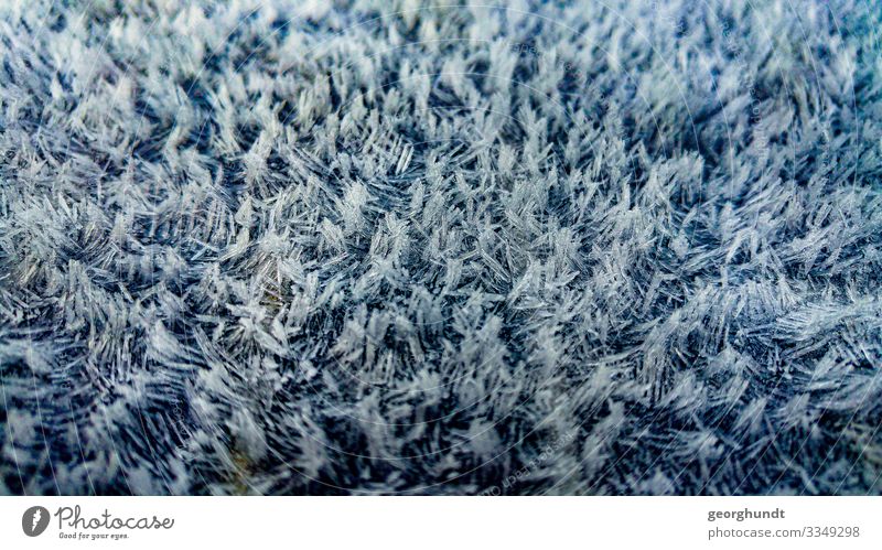 Eisflöckchen 1 Eisflocken Schnee Kristall Eiskristall Makro Nahaufnahme Teppich Flockati eisig kalt Kälte