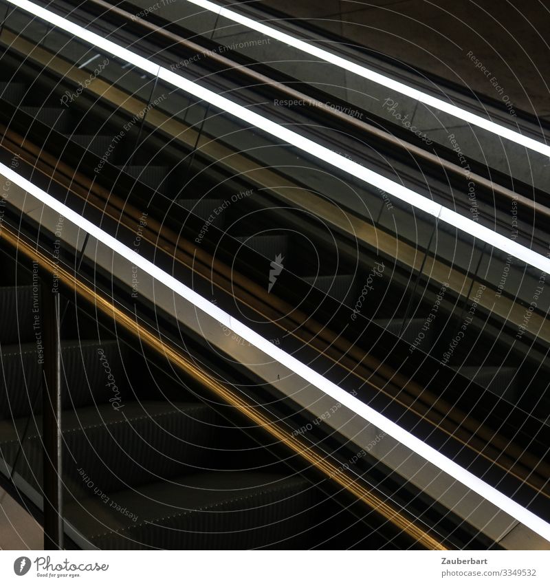 Rolltreppe mit Lichtbändern abwärts Technik & Technologie Bahnhof Glas Metall dunkel kalt schwarz Coolness Ausdauer Mobilität modern Ordnung leuchten