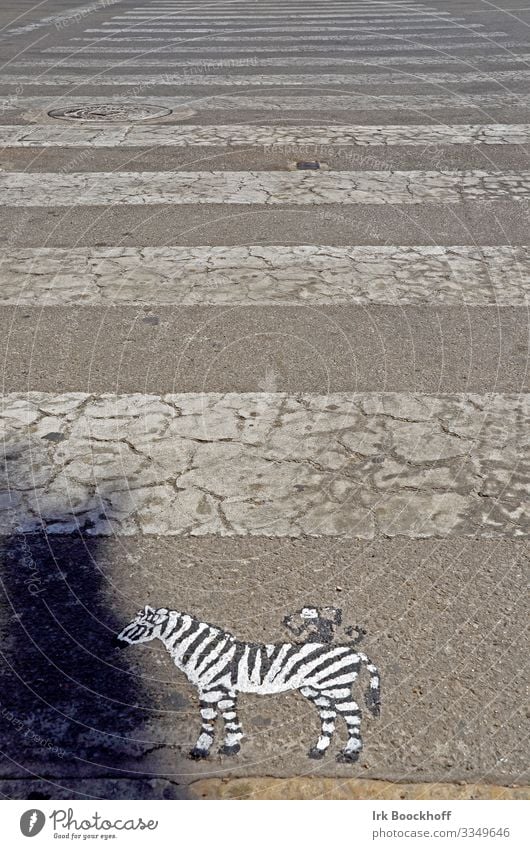 gemaltes Zebra vor Zebrastreifen auf der Straße Kunst Kunstwerk Stadtzentrum Verkehr Verkehrswege Fußgänger Wege & Pfade Verkehrszeichen Verkehrsschild fahren