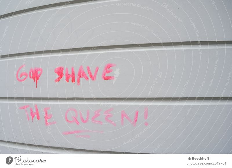 Good shave the Queen Graffiti Punk Mauer Wand Beton Zeichen Schriftzeichen Kommunizieren frech rosa Coolness Ärger Frustration protestieren Farbfoto