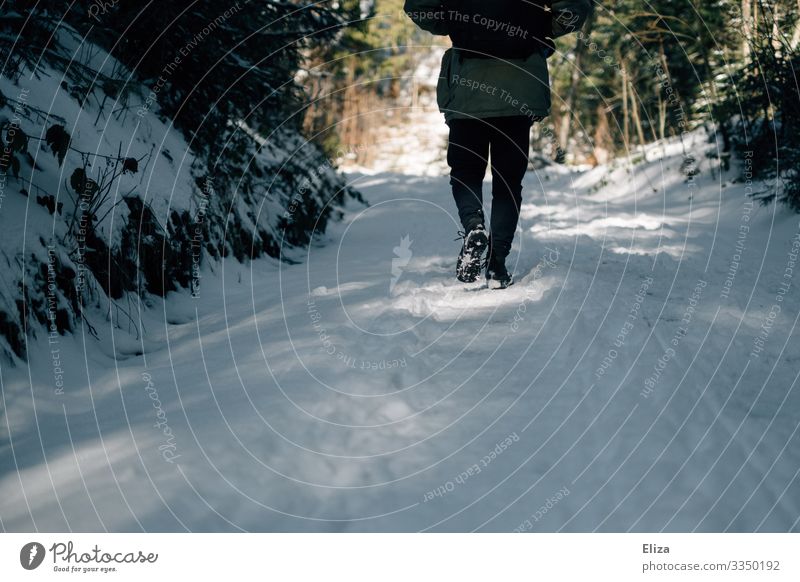 Mann läuft im Wald durch den Schnee Winter Spaziergang Wanderung Winterwald Weg gehen kalt Natur alleine Schneelandschaft