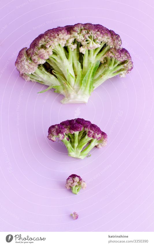Frischer, roher, violetter Blumenkohl auf hellviolettem Hintergrund Gemüse Ernährung Vegetarische Ernährung Diät Menschengruppe frisch grün purpur Kohlgewächse