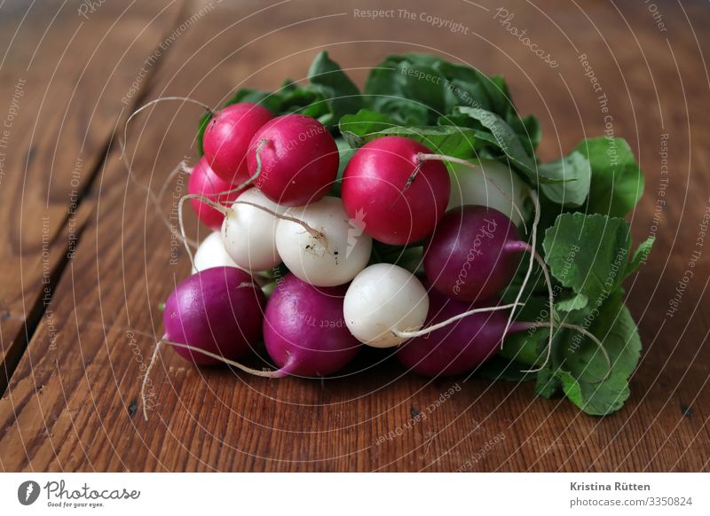 bunte radieschen Gemüse Vegetarische Ernährung frisch Gesundheit lecker violett rosa weiß Radieschen gartenrettich Knolle gesund roh bund organisch knackig