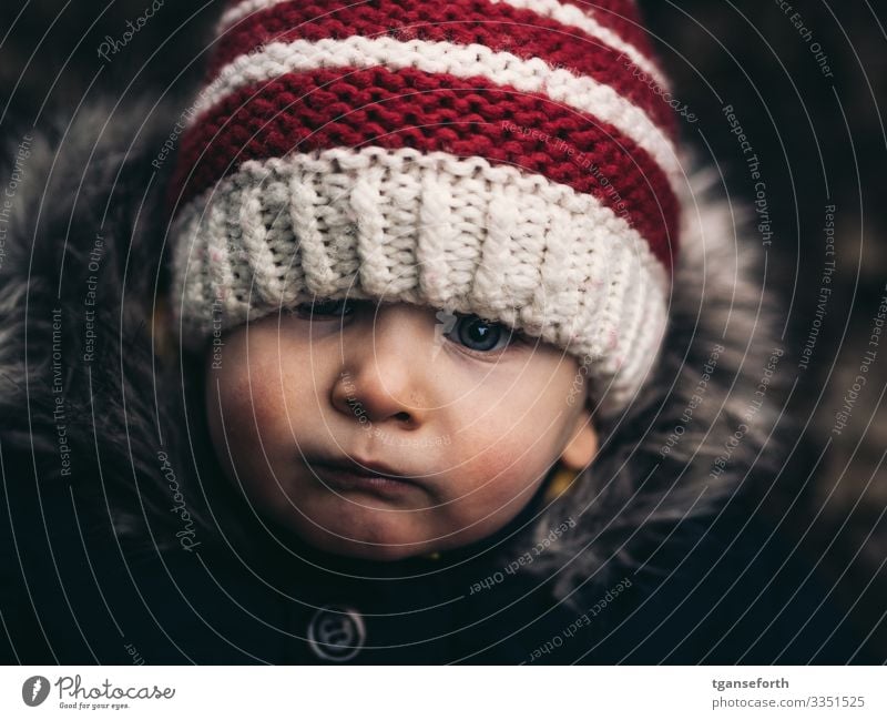 Kleinkind mit Mütze Mensch maskulin Kind Junge Kindheit Gesicht 1 1-3 Jahre Jacke Mantel Stoff Fell Denken entdecken Blick authentisch Freundlichkeit schön nah