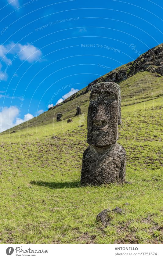 Nahaufnahme eines stehenden Moai auf dem Hügel von Rano Raraku Design Ferien & Urlaub & Reisen Tourismus Abenteuer Sommer Meer Insel Kopf Gesicht Kunst