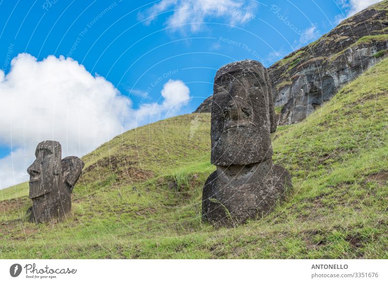 Moai bewachen den Vulkan Rano Raraku Ferien & Urlaub & Reisen Tourismus Abenteuer Ferne Sommer Meer Insel Kopf Gesicht Kunstwerk Skulptur Kultur Umwelt Erde