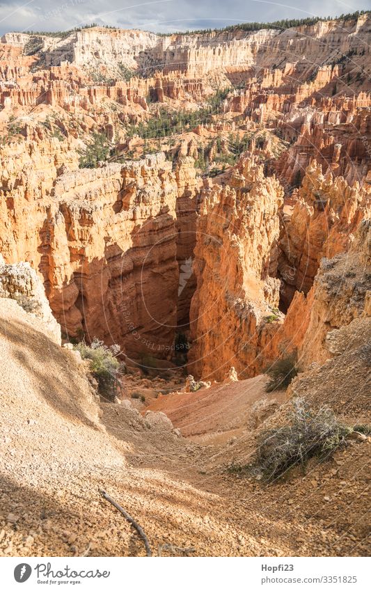 Bryce Canyon Umwelt Natur Landschaft Pflanze Tier Urelemente Frühling Sommer Schönes Wetter Felsen Berge u. Gebirge beobachten Bewegung entdecken
