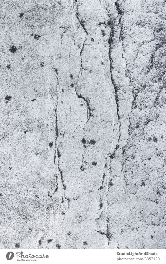 Mosaikgraue Steinoberfläche schön Natur Pflanze Moos Felsen natürlich weiß Hintergrund Konsistenz Oberfläche moosbedeckt Flechten Wand Murmel Granit texturiert
