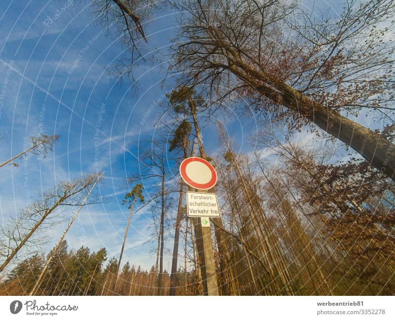 Deutsches NUR FORSTVERKEHR-Schild vor Bäumen Natur Pflanze Himmel Baum Straße Kontrolle Sprache Zeichen Forstwirtschaft Mitteilung Warnschild Hinweisschild