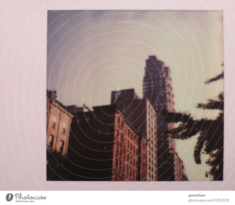 Hochhäuser in New York Polaroid spectra new york hochhaus ast baum Großstadt usa New York City Skyline Amerika Stadtleben Architektur rahmen rot