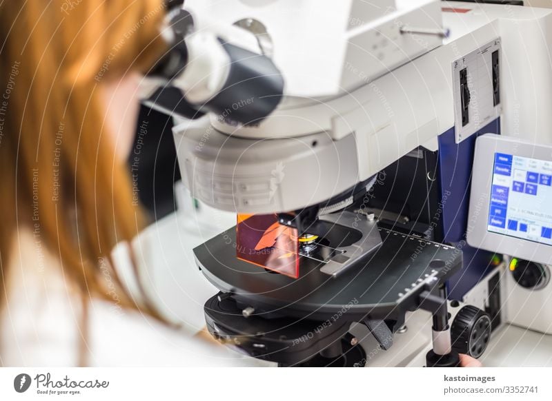 Helth care professionelles Mikroskopieren am Fluoreszenzmikroskop. Gesundheitswesen Medikament Wissenschaften Studium Labor Prüfung & Examen Arzt Arbeitsplatz