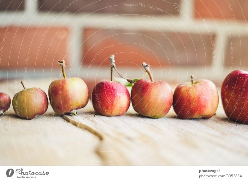 Äpfel in Reihe Größenunterschied Größenvergleich Apfel Apfelernte rot Ernte aufgereit Ordnung Ordnungsliebe Gesundheit
