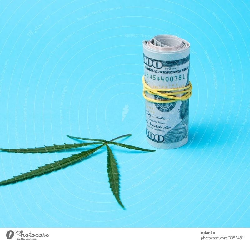 Banknoten von amerikanischen Dollars Kräuter & Gewürze Geld Medikament Kapitalwirtschaft Business Kultur Gras Blatt Papier natürlich wild blau grün Haschisch