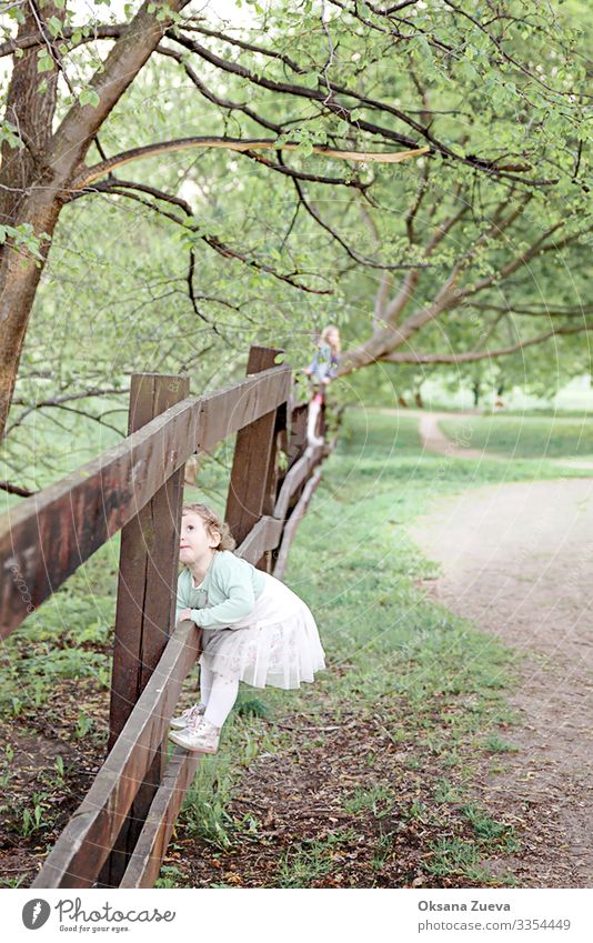 Mädchen klettern im Frühling im Garten auf einen Zaun. Das Konzept der Kindheit, Fröhlichkeit, Unbekümmertheit. Sommer Gras Arme Wärme Erholung Baum Abdruck