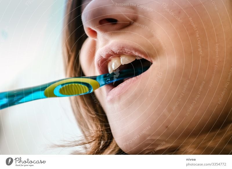 Zähne putzen Essen schön Körperpflege Gesundheit Massage Kindererziehung Mensch maskulin Junge Kindheit Mund Lippen 1 8-13 Jahre Zahnbürste gebrauchen