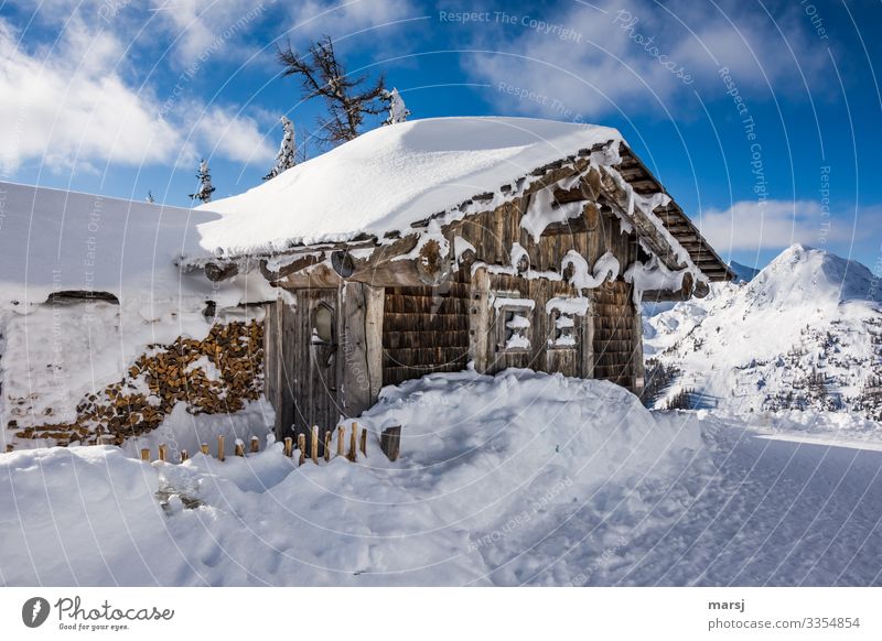 Tiefverschneite Almhütte in den Bergen Winter Schönes Wetter Eis Frost Hütte außergewöhnlich kalt blau Schnee Berghütte standhaft Idylle Klischee Farbfoto