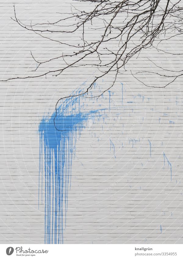 Volltreffer Winter Pflanze Baum Stadt Haus Mauer Wand Farbbombe dreckig blau braun weiß Farbe Kontakt Umweltverschmutzung Zerstörung Farbfleck Farbfoto