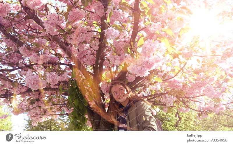 frühyeah! Mensch feminin Mädchen Kindheit Jugendliche Leben 1 Umwelt Natur Sonne Frühling Pflanze Baum Blatt Blüte Garten Park Blühend Kirschblüten Kirsche
