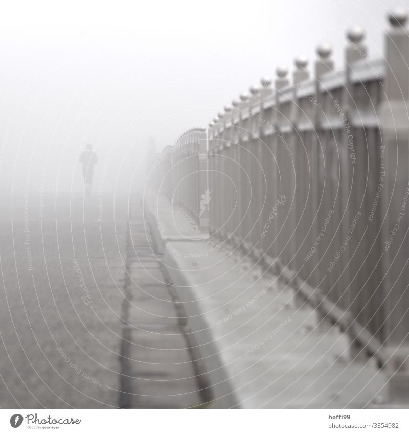 Morgennebel Sportler Joggen Mensch 1 18-30 Jahre Jugendliche Erwachsene schlechtes Wetter Nebel Park Brücke Geländer Bürgersteig Bewegung Fitness laufen rennen