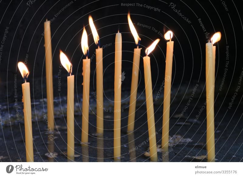 Hoffnung Kirche Kerze erinnern Kerzenschein Flamme bezahlen leuchten dünn hell Kraft trösten Trauer Tod Ewigkeit Gesellschaft (Soziologie) Glaube