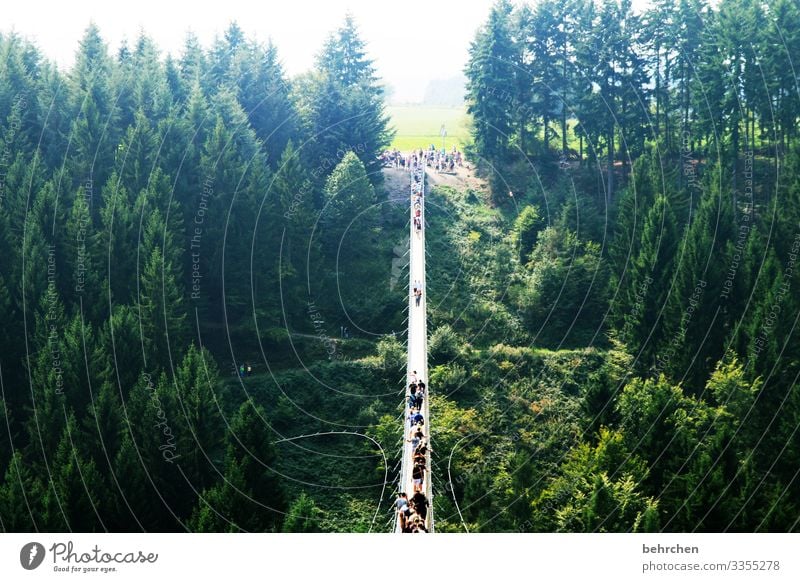 konstruktiv | vertrauen in die ingenieurskunst! Bauwerk Brücke Höhe Bäume Deutschland fantastisch Natur Wald Abenteuer gefährlich Höhenangst weite Landschaft