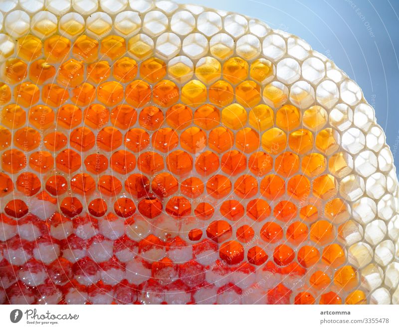 Frischer Honig in Honigwaben abstrakt Ackerbau appetitlich Hintergrund Hintergrundbeleuchtung Biene hell Nahaufnahme Farbe farbenfroh Konzept lecker Design