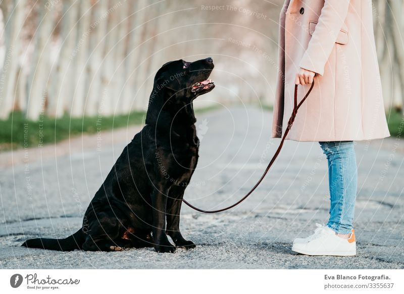 Unkenntliche junge Besitzerin und ihr schwarzer Labradorhund sitzen bei Sonnenuntergang im Freien Retriever Frau Hund Straße Haustier Jugendliche Kaukasier