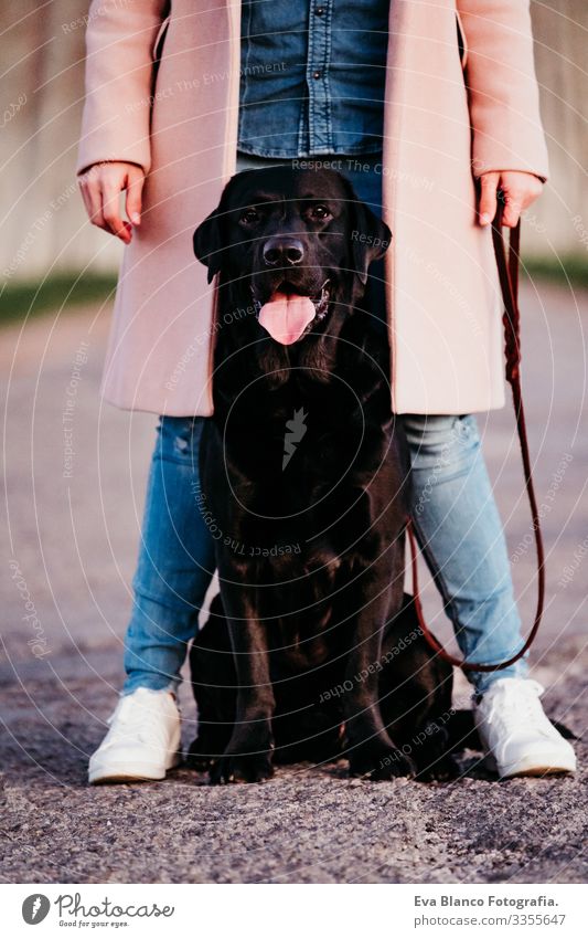 Unkenntnis der jungen Besitzerin und ihres schwarzen Labradorhundes, die bei Sonnenuntergang im Freien spazieren gehen Retriever Frau Hund Straße sitzen