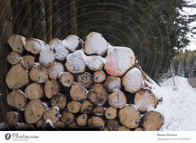Schneegeschichten Landwirtschaft Forstwirtschaft Natur Winter Wetter Wald Schwarzwald Holz Schriftzeichen Ziffern & Zahlen alt wählen entdecken kaufen warten