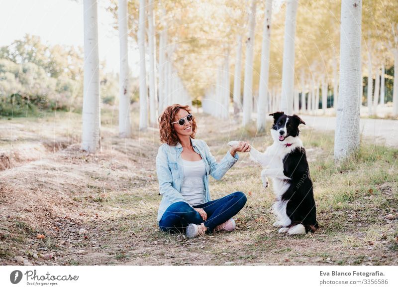 Frau und schöner Border-Collie-Hund, die in einem Pfad von Bäumen im Freien sitzen. Besitzer Border Collie Haustier Baum Weg Wege & Pfade intelligent