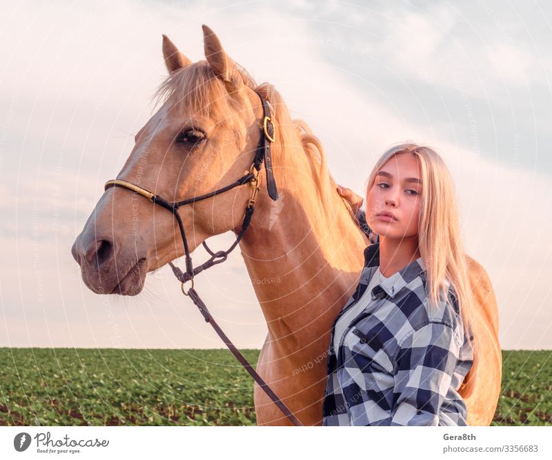 junges blondes Mädchen mit einem beigen Pferd Stil schön Gesicht Sommer Mensch Frau Erwachsene Freundschaft Hand Natur Tier Dorf Bekleidung Hemd nah natürlich