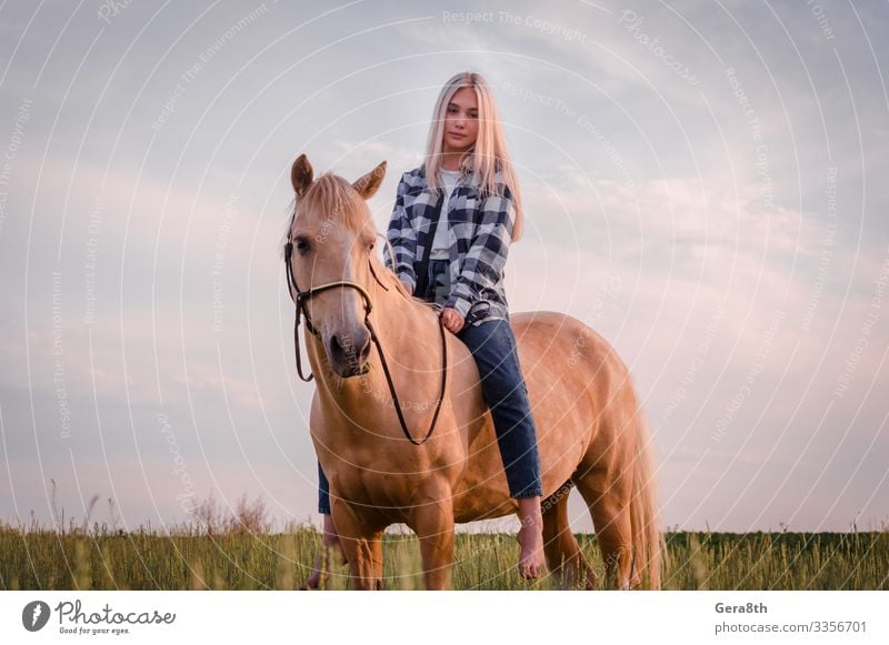 Ein junges blondes Mädchen in blauen Jeans sitzt auf einem Pferd Stil Gesicht Sommer Frau Erwachsene Freundschaft Natur Tier Himmel Wiese Dorf Bekleidung Hemd