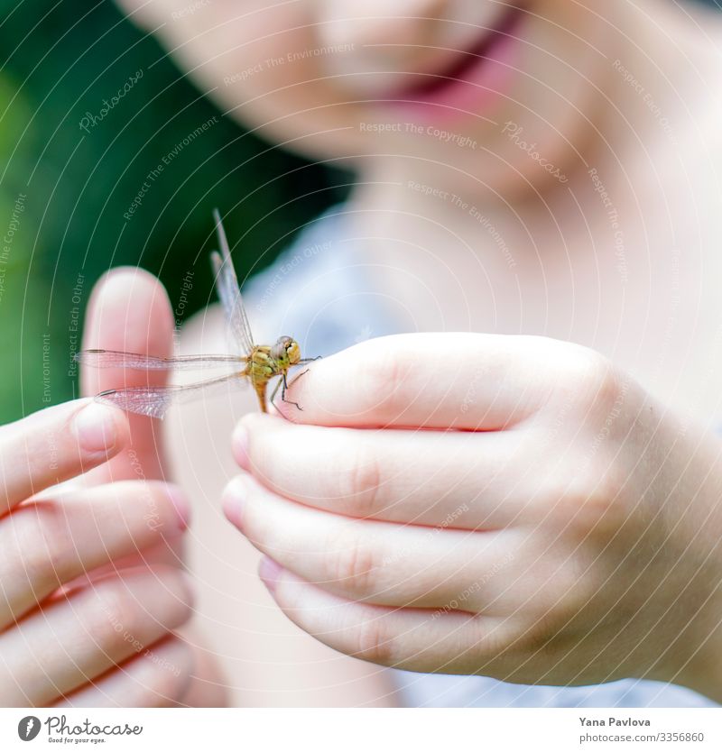 Der Junge hält eine Libelle in den Händen Tier Fliege Flügel 1 Gefühle Freude Glück Fröhlichkeit Zufriedenheit Abenteuer Erfahrung Erfolg Frieden Farbfoto