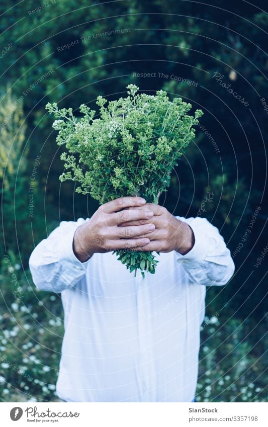 Mann hält einen Blumenstrauß oder Oregano Kräuter & Gewürze Sommer Berge u. Gebirge Garten Erwachsene Hand Natur Pflanze Blatt frisch natürlich wild grün