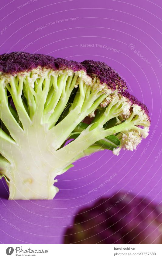 Frischer, roher, violetter Blumenkohl auf violettem Hintergrund Gemüse Ernährung Vegetarische Ernährung Diät Menschengruppe frisch grün purpur Kohlgewächse