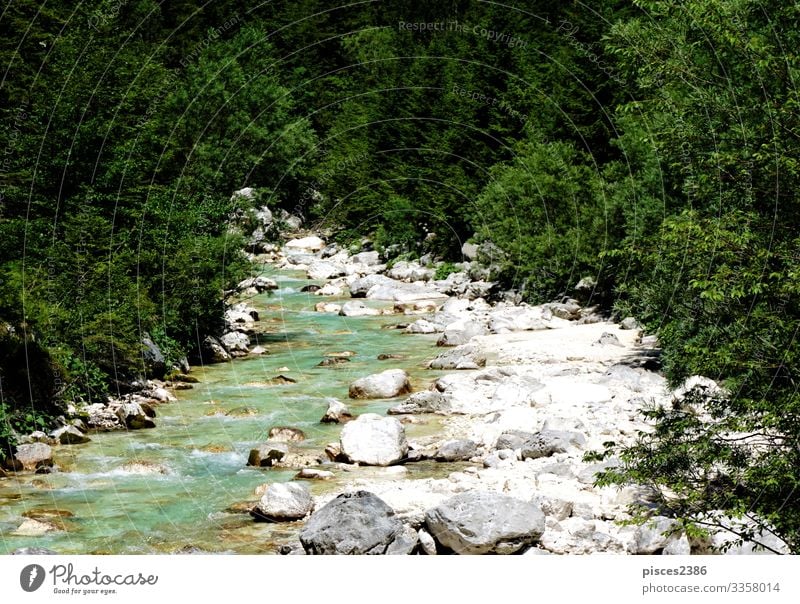 Wilder Isonzo-Fluss und grüner Wald bei Trenta Erholung Ferien & Urlaub & Reisen Tourismus Abenteuer Sommer Umwelt Natur Landschaft Himmel Baum Park Felsen