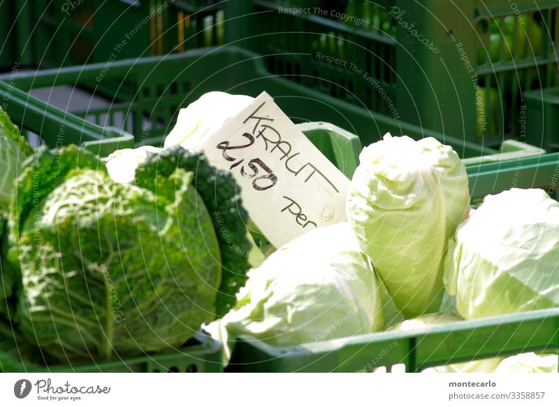Morgen gibts "Bayrisch Kraut" Lebensmittel Gemüse Weißkohl authentisch einfach frisch Gesundheit Billig lecker nachhaltig natürlich rund saftig grün kaufen