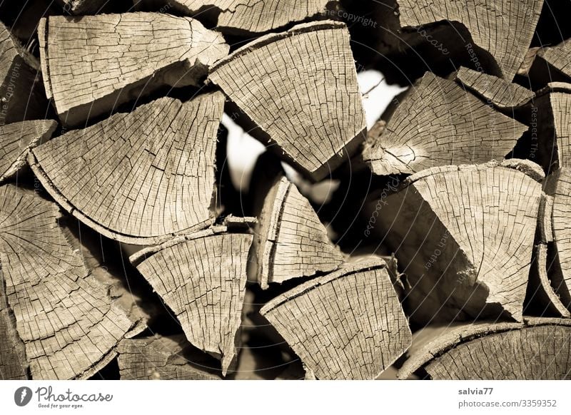 Brennholzstapel Nahaufnahme Strukturen & Formen Holz Fossiler Brennstoff Außenaufnahme Holzstapel Menschenleer Energie Vorrat Detailaufnahme Natur braun Stapel